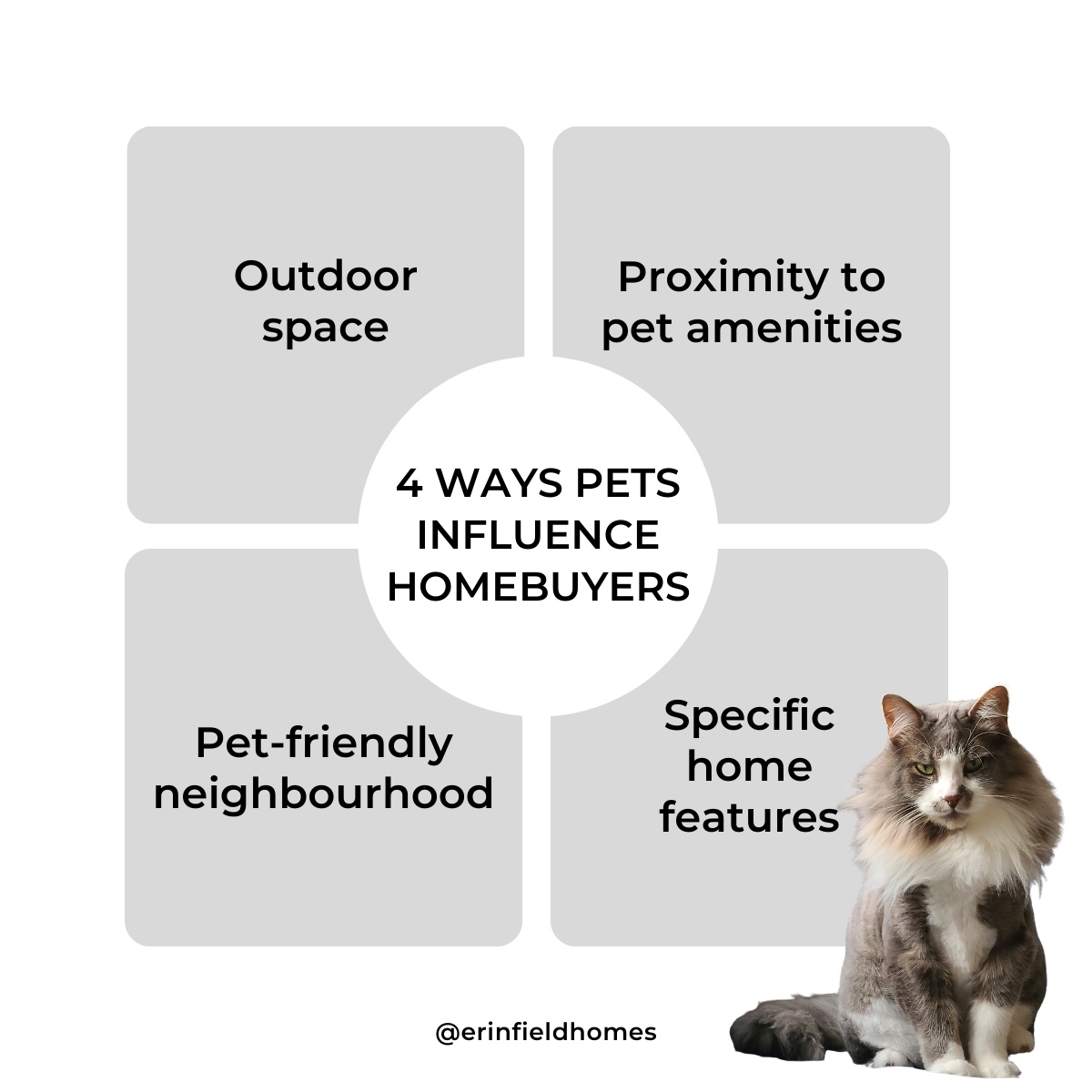 ErinFieldRemax's tweet image. As you’re getting ready to sell, take a look at your home and see if you can show off how great your home is for pets!

#PetTips #MovingWithPets #LetsTalkRealEstate #RealEstateTips #PetFriendly #HomeForPets #TipTuesday #RealEstateAdvice