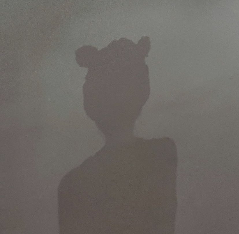 Wintebelle's tweet photo. Guess whose shadow is that, make it quick! 

In 3… 2…1… https://t.co/R4zfxnmPAE