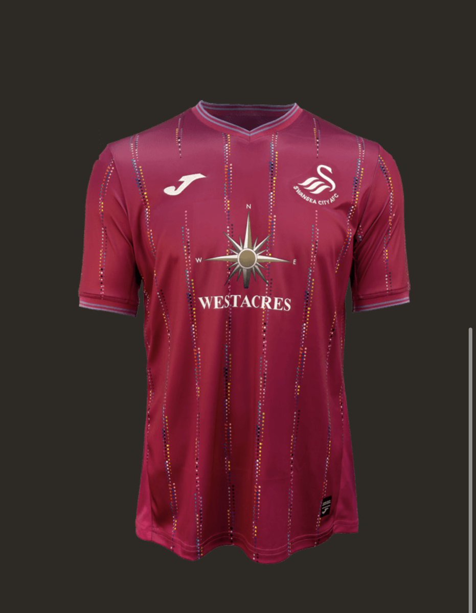 JordanWebber96's tweet photo. I love my club. 🦢 https://t.co/zNEtVdCM1s