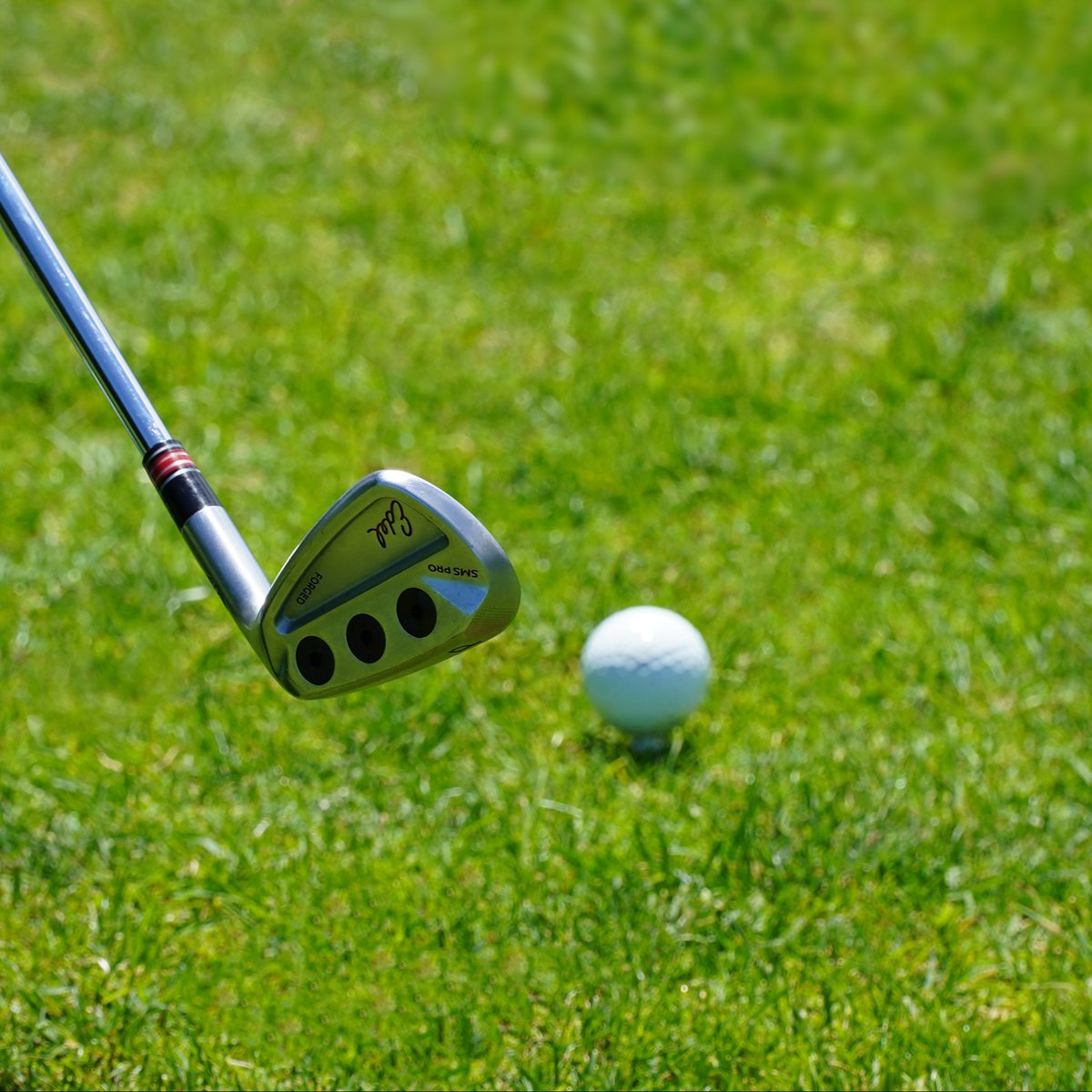 EDELgolf's tweet photo. Hit more greens, chip it closer, make more putts, and score better! One shot can make all the difference. 🙌
#teamedel #edelgolf #smspro #easputters https://t.co/07UvDbwWgw