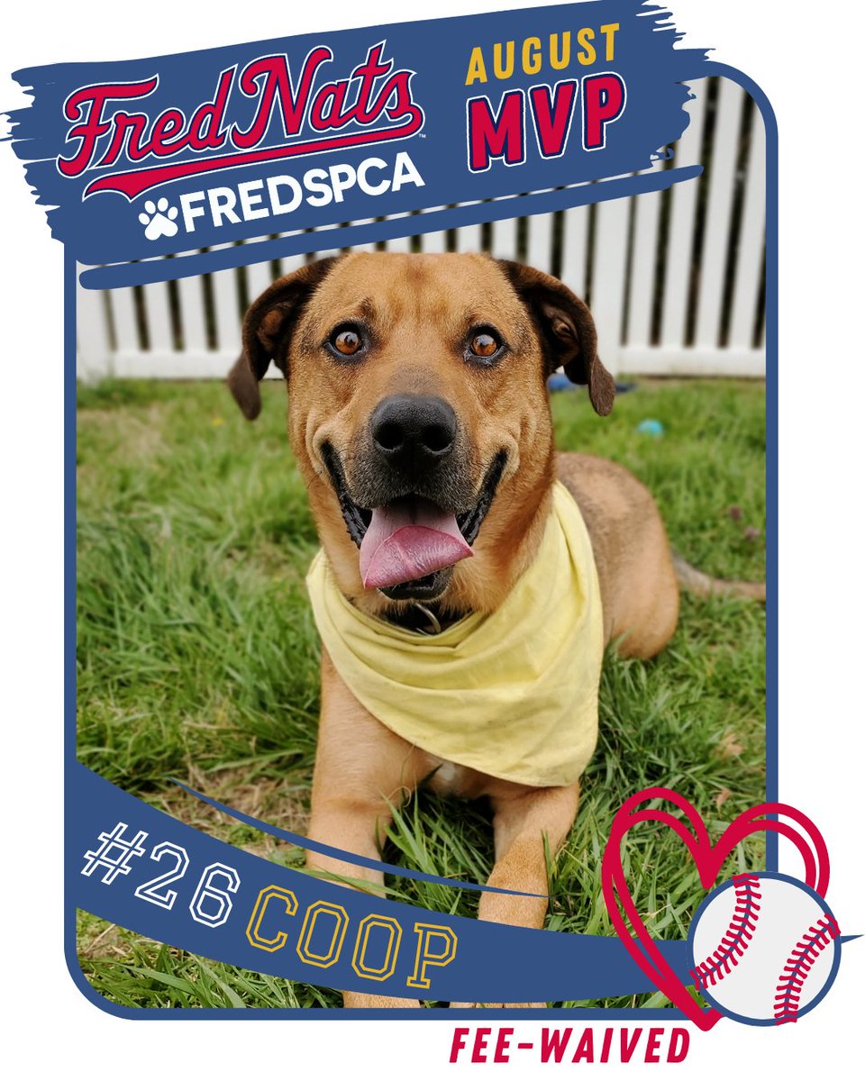 FredericksburgSPCA tweet media