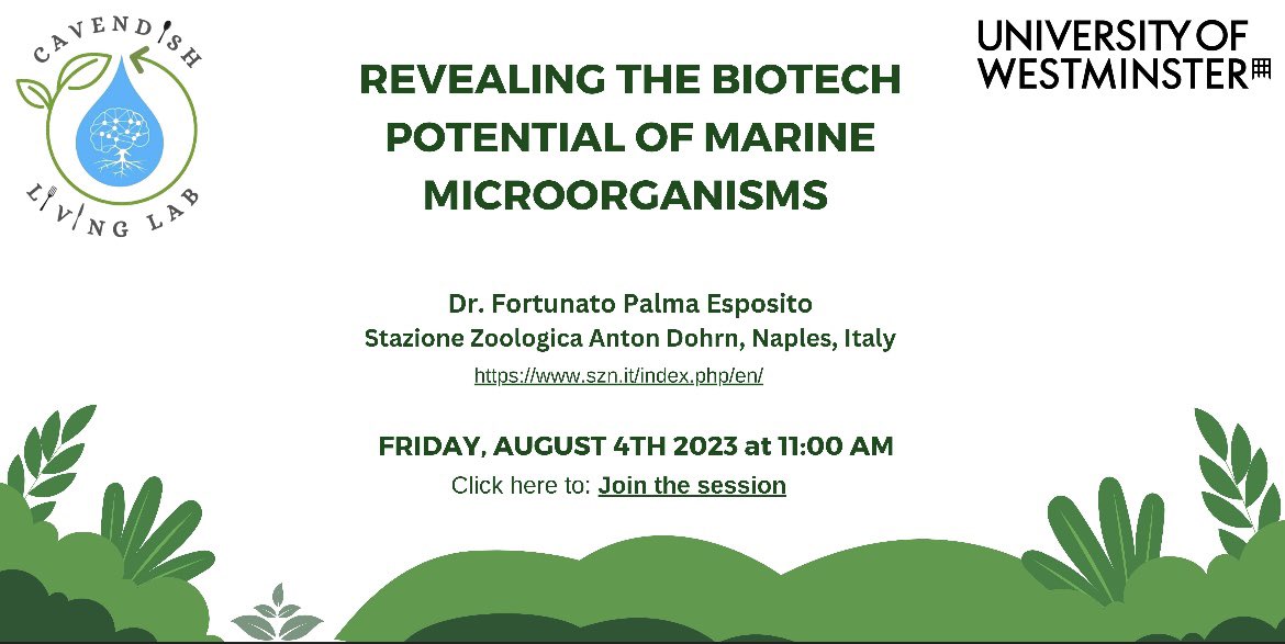 Join us on Friday, 4th August for a talk where Dr. @FortunatoFPE  will delve into the world of marine microorganisms, revealing their biotech potential. 🔬 #MarineBiotech #ScienceTalk #biotech #sustainability
@pooja_basnett @LifeSciWestmin 

teams.microsoft.com/l/meetup-join/…