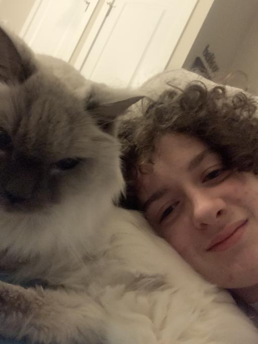 LIQUO  tweet media