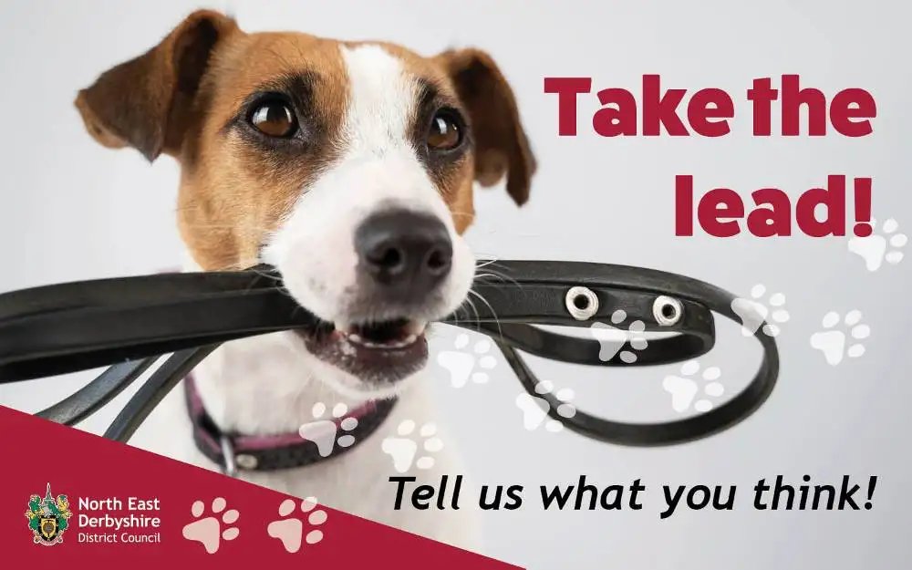NEDDC want your views on their new Dog Management Public Space Protection Order!

The consultation is open until 1st September 2023. Click the link to participate in the survey!

online1.snapsurveys.com/interview/5e38…

#neddc #pspo #community #doorsteppa