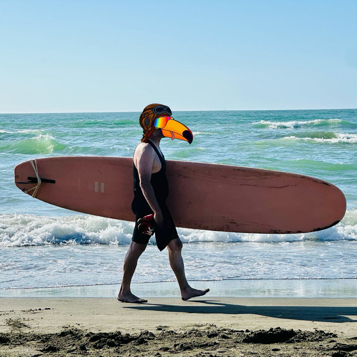 1111110010bit's tweet photo. GM and enjoy the waves

@TucanTribe $Gas
#Art #NFT #Algorand #Algofam $Algo #TTribe #TucanTribeNFT #Longbeaks https://t.co/rJJqbuLjzk