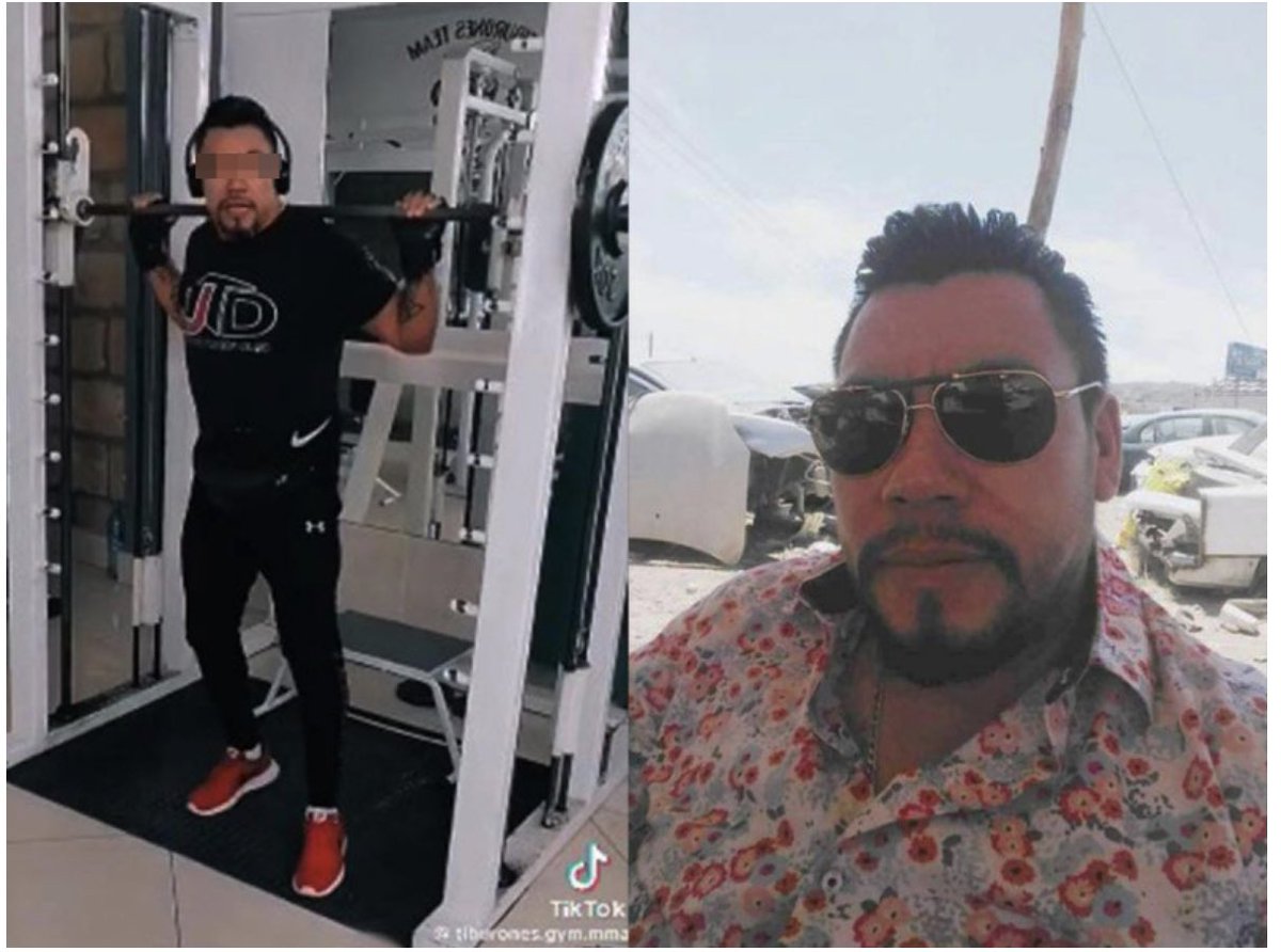 ¿Dónde andas mi “tiburón Medina” 

Te vamos a encontrar cabron… 

Dicen que es un hombre peligroso, ligado al NARCO en SLP 

PREPOTENCIA ARROGACIA 

Dueño del tiburones gym y de autopartes Medina. 

Dice ser bueno pa los golpes… 

Yo le pego al Krav Maga y me siento  capacitado