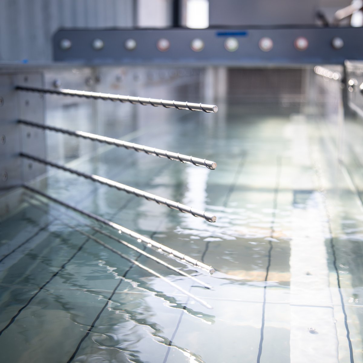 NatelEnergy's tweet image. Many thanks to our collaborators and coauthors from @PNNLab and @uniinnsbruck. And thanks to @ENERGY and the @AMCprizes Fish Protection Prize for funding support.

#fishpassage #fishscience #fishsafe