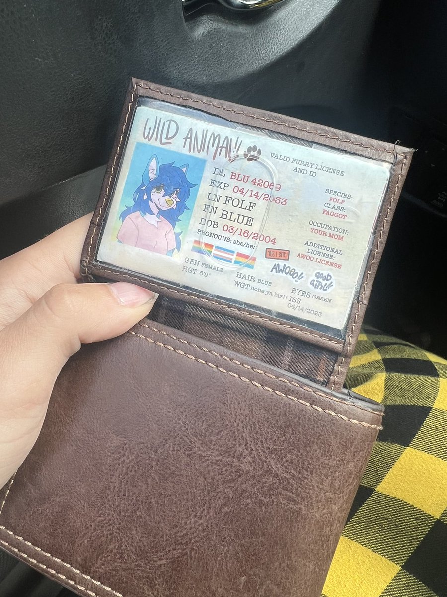 jadefolf's tweet image. Cop pulled me over and I accidentally handed him my fucking furry ID at first instead of my drivers license because it was in the front pocket of my wallet 💀