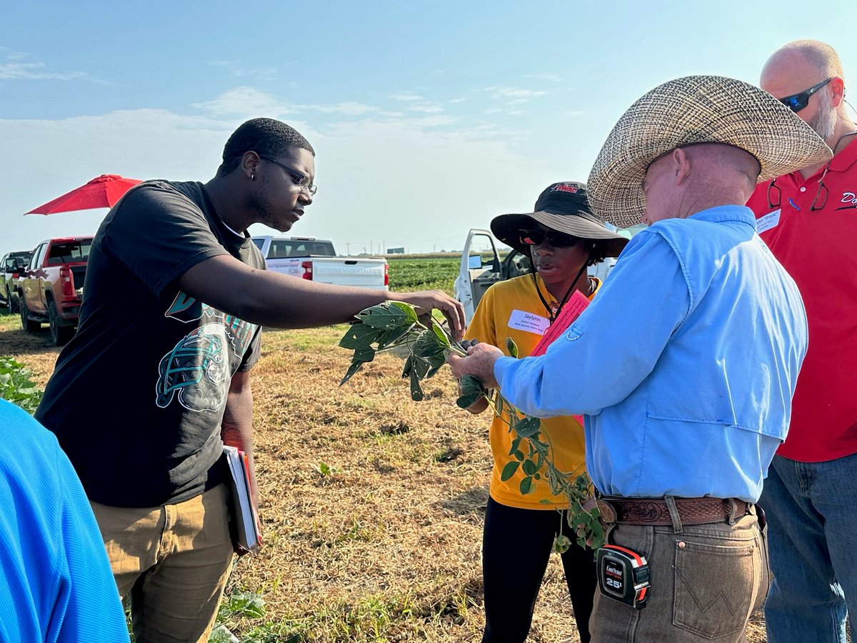 UScropinsurance's tweet image. Loss adjusters, including current &amp;amp; former NCIS interns are learning all about corn &amp;amp; soybean loss adjustment procedures this week in Stoneville, MS. This is a great opportunity for the interns to participate in hands-on field training along side industry experts. #TrainingIsKey
