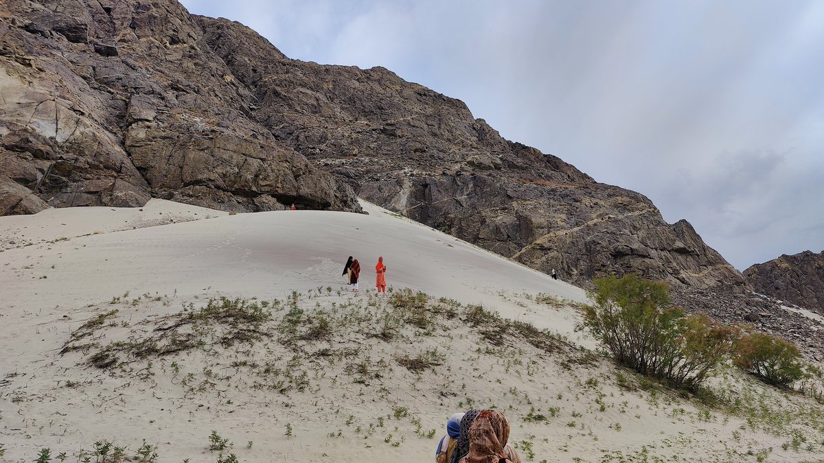 BiologyLums's tweet image. Field trip to blind lake for collection of wild plants as part of #BIO102 @osalums @LifeAtLUMS @sbasselums