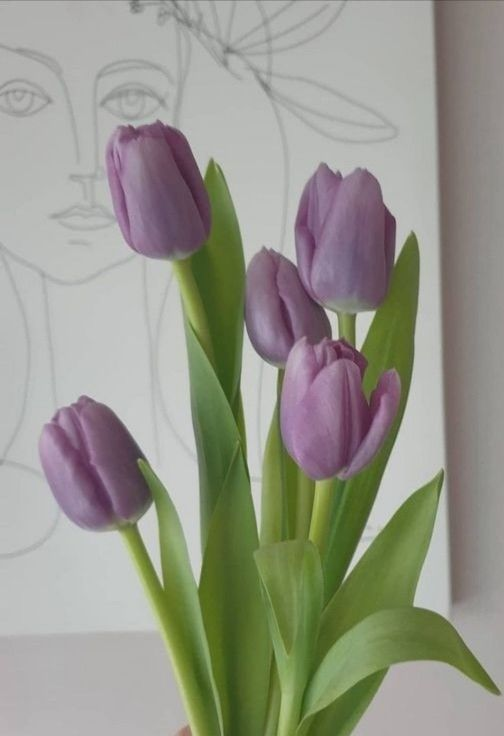 Purple tulips