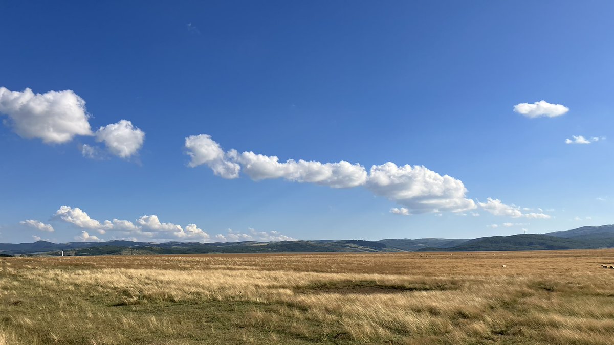 zkusovac's tweet image. #Pešter, #Sanjak, #Serbia. Plateau @ 1000-1300 m a.s.l. Stunningly beautiful. Today I only drove through but I’m surely coming back on #holiday. #Breathtaking
