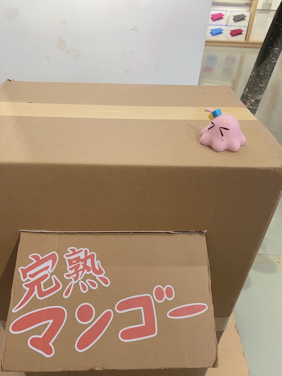 ShiozukeSeaSlug's tweet photo. https://t.co/NjcIK9stal