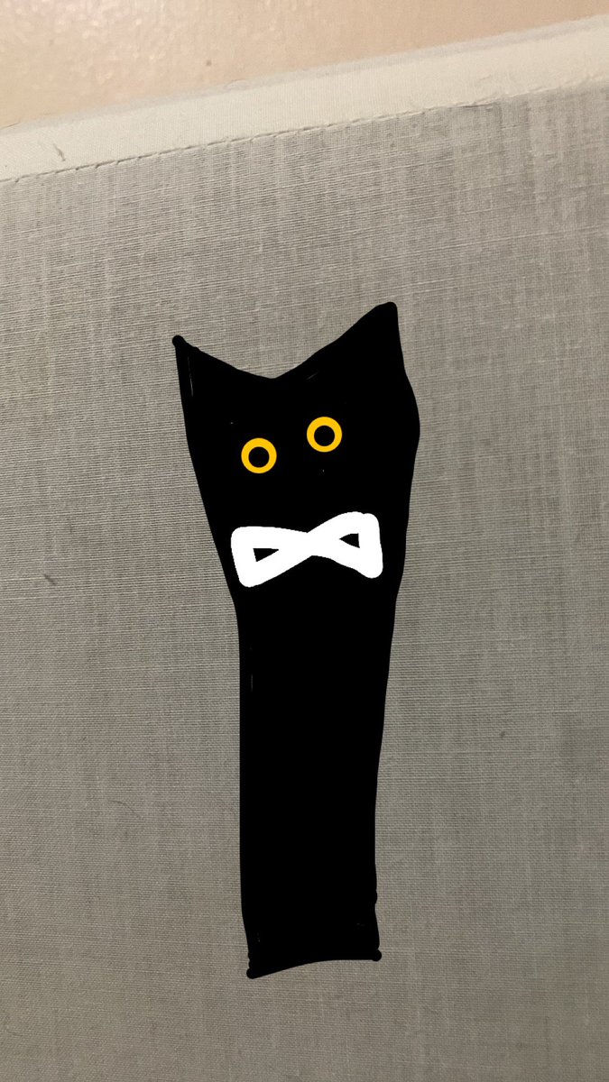 bebejengtoo's tweet photo. My attempt at poorly drawn cats (featuring my cat Adam Butter)

Inspiration from @poorlycatdraw https://t.co/dDMiLyeNWE