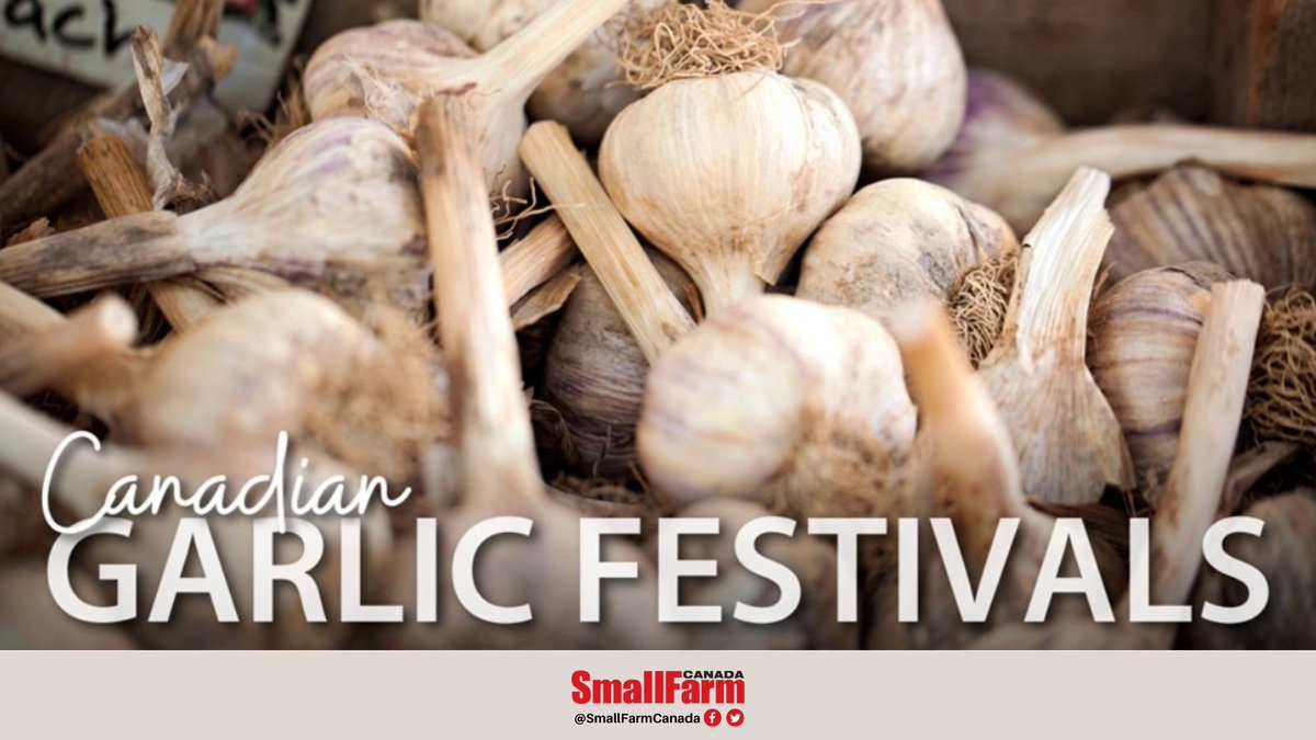 SmallFarmCanada's tweet photo. Don't miss #GarlicFest in Canada!
These fun-filled festivals bring together #garlic producers & local garlic lovers, support for local #agriculture, and offer something for the entire family.
Check out the list of Garlic #festivals near you π»
https://t.co/K6zMqoK2pd
#CdnAg https://t.co/BoQlEpAnLg