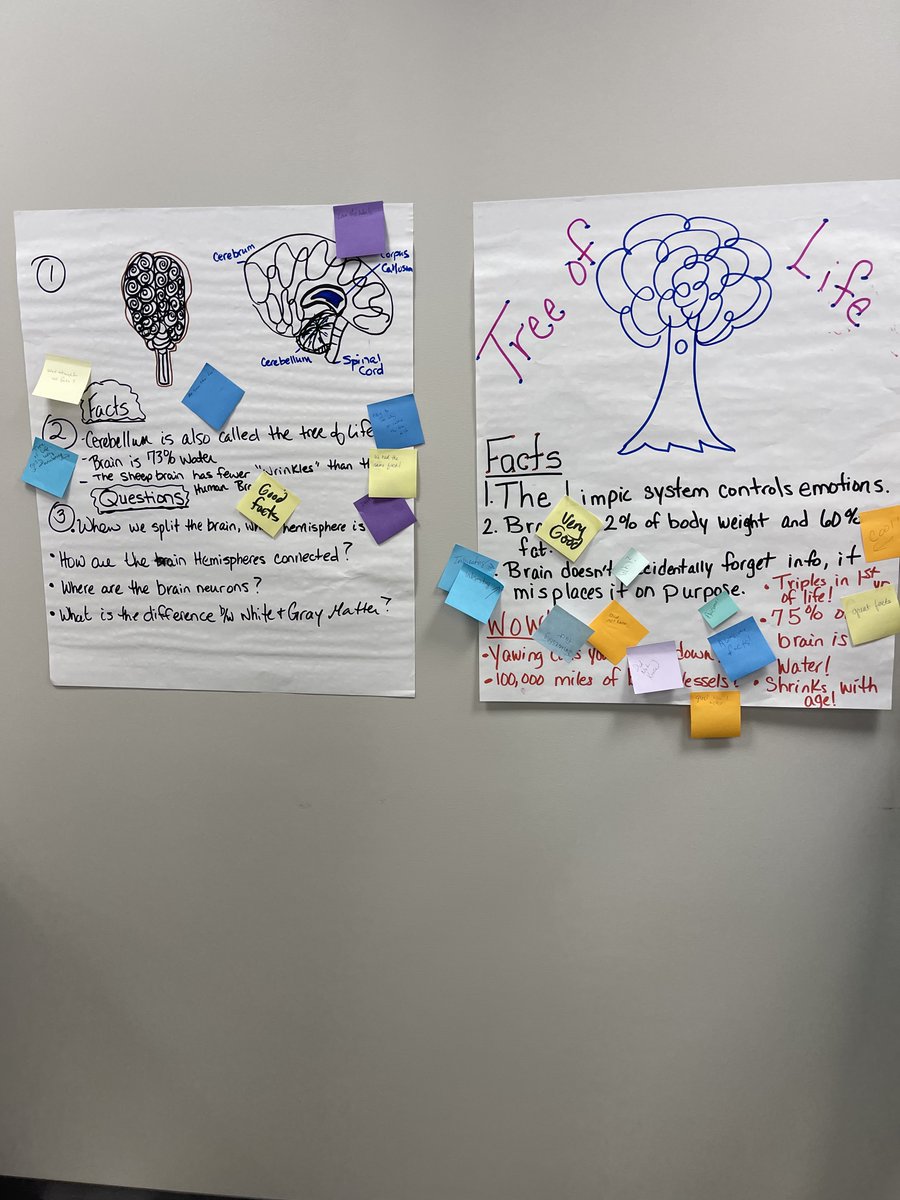 Successful Practices Network (@spnconnect) on Twitter photo Brain science and teaching strategies came together at Caldwell County Schools with SPN's Dr. Linda Jordan. What a fantastic fusion of theory and practice to enhance education. More to come! #SPN #Education #NDPC #FutureFocused #teacherstudent #teachersoftwitter <a href="/CaldwellVoice/">CaldwellSchoolSystem</a> Brain science and teaching strategies came together at Caldwell County Schools with SPN's Dr. Linda Jordan. What a fantastic fusion of theory and practice to enhance education. More to come! #SPN #Education #NDPC #FutureFocused #teacherstudent #teachersoftwitter <a href="/CaldwellVoice/">CaldwellSchoolSystem</a>