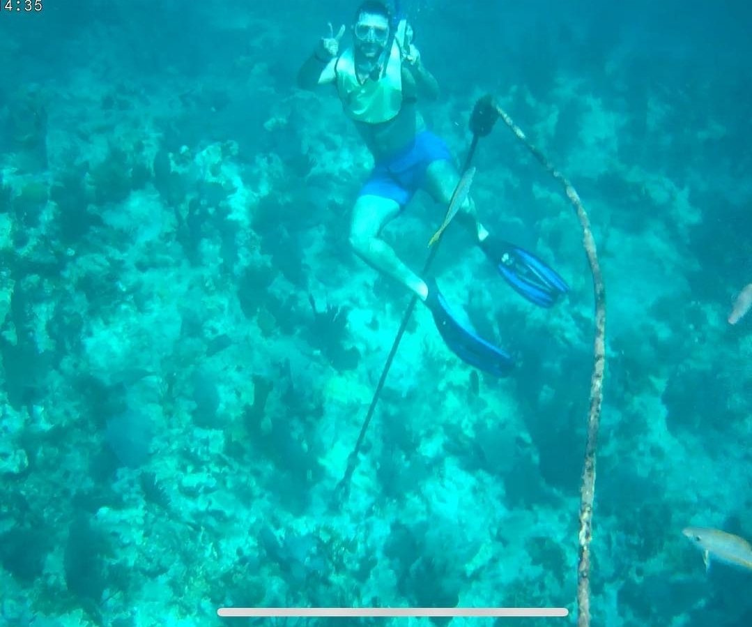 🌊🤿 Dive in, discover wonders!  #SnorkelingAdventures #OceanMagic #Snorkeling #OceanAdventures  #MarineMarvels  #OceanLife