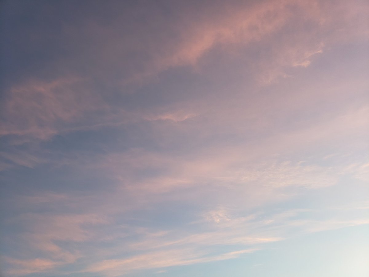 Dr. Shawna Pandya tweet media