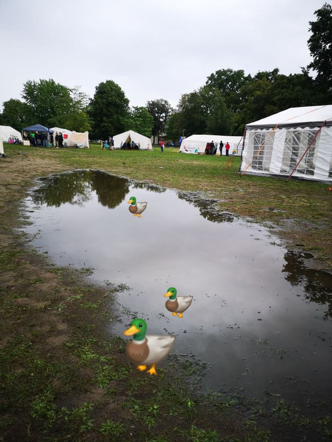 Kommt zum System Change Camp.
Wir haben jetzt auch einen Pool!