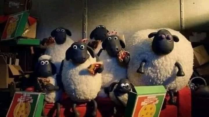 Memesawyy's tweet photo. لما كنا لا نحمل هماً بجد https://t.co/p6M4IM1cX6