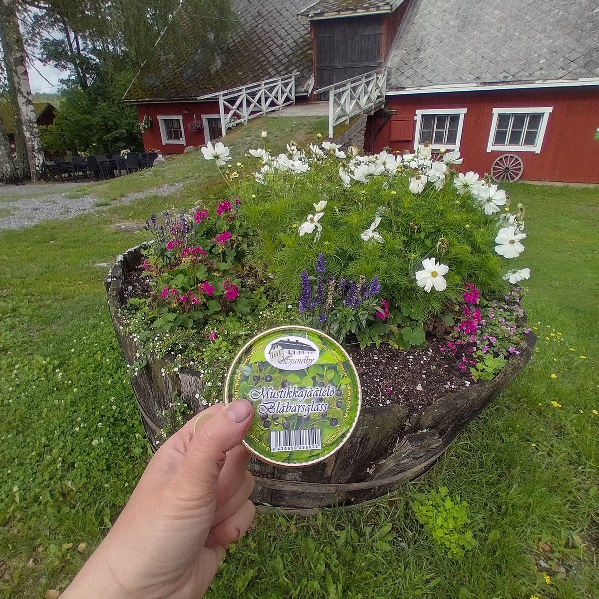 MaaritLaurinen's tweet photo. Miksi mustikkajäätelö ei ole yleisempää? Suklaata löytyy monessa muodossa et menee jo överiksi. Tämä oli hyvää #mustikka #jäätelö #ylikulutuspäivä https://t.co/421udA9pOQ