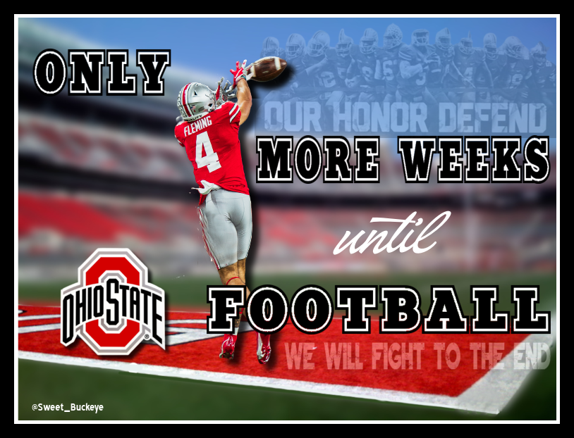 SusanSweet44's tweet photo. The countdown has begun!! #GoBucks #OhioState #Buckeyes #FourMoreWeeks https://t.co/bdkncqiSO1