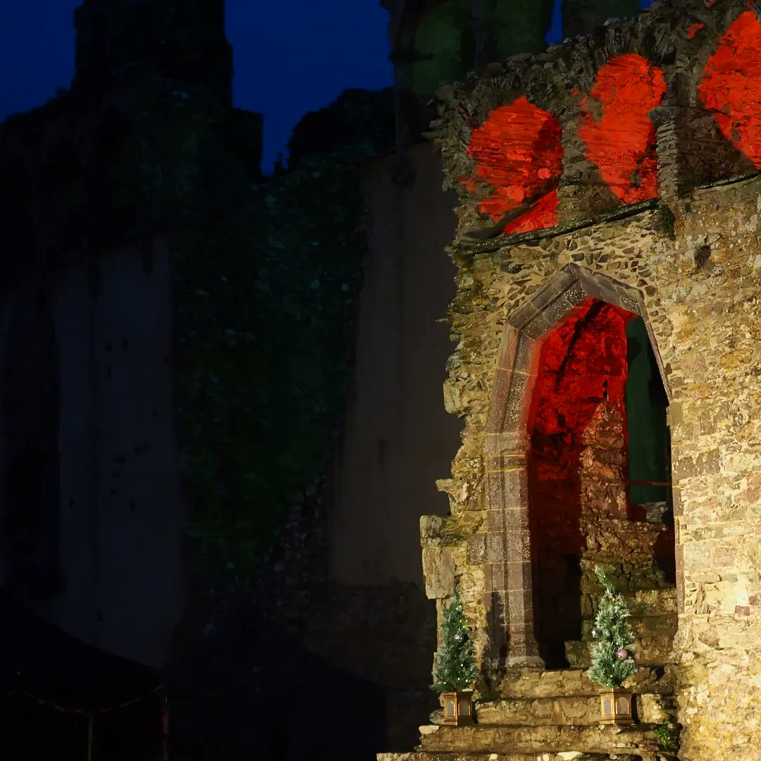We celebrated TWELFTH NIGHT for the first time in the Bishop's Palace last night! Here are a few glimpses. Looking forward to six more great performances starting tonight! Ticket link in bio.
#pembrokeshiretheatre #shakespeare #openairtheatre #visitpembrokeshire #visitwales