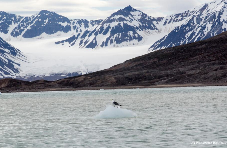 La France à l'ONU 🇫🇷🇺🇳 tweet media