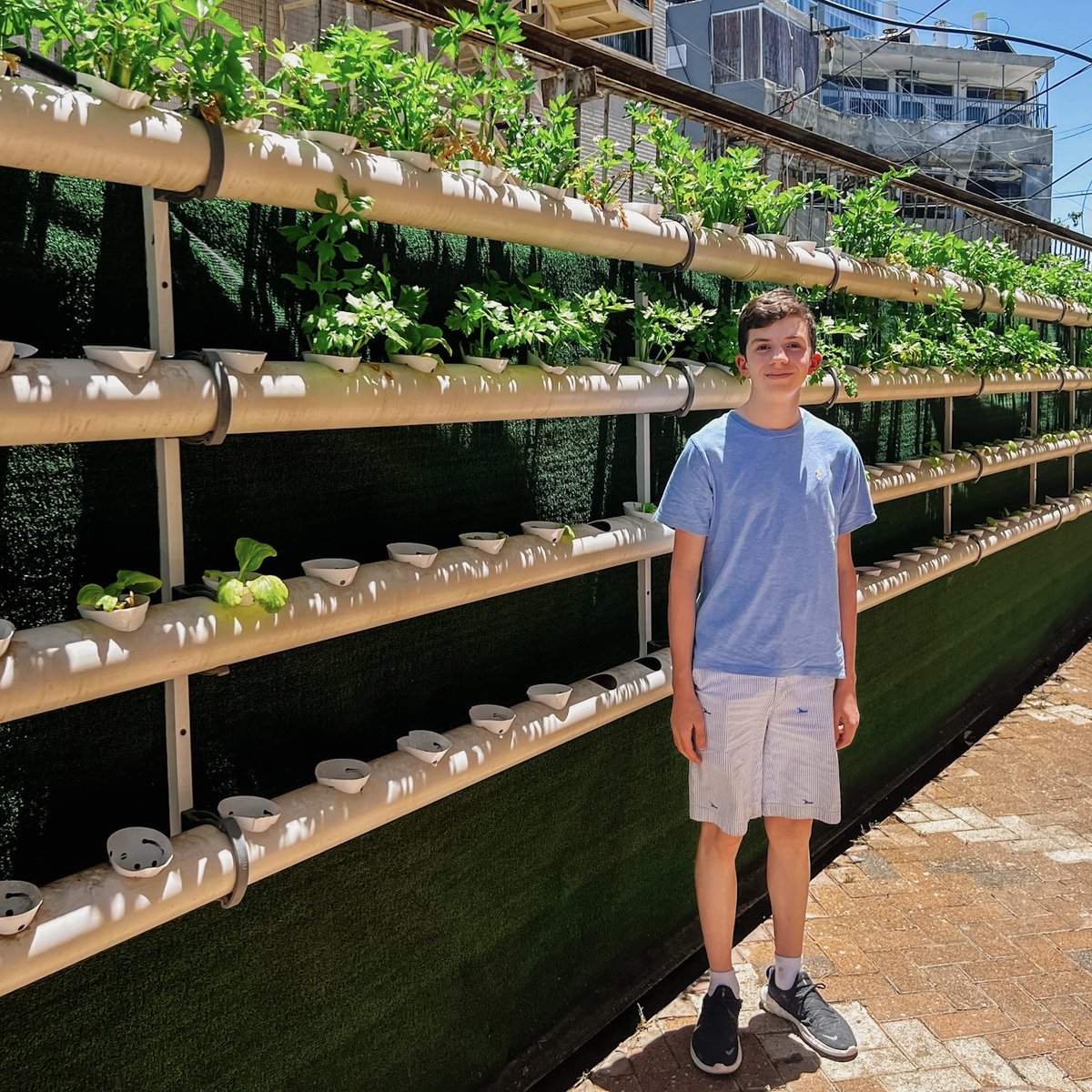 Growing Peace tweet media