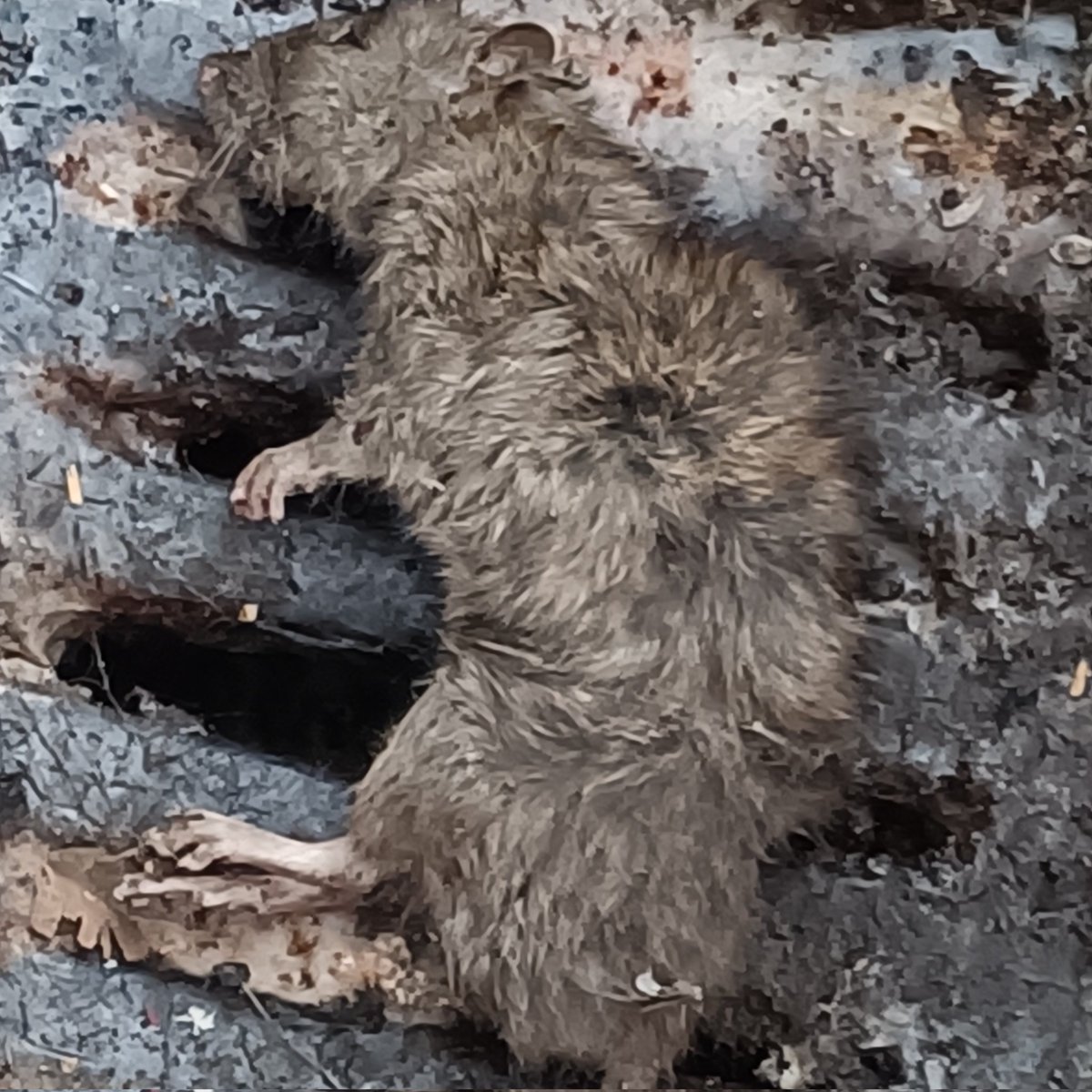 #NoweZdjecieProfilowe