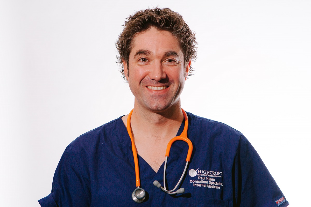 CVSGroupPlc's tweet photo. Congratulations to our CVO Paul Higgs who has been awarded @theRCVS Fellowship for meritorious contributions to clinical practice. He’s one of 34 vets to be awarded a Fellowship this year. We know he’s proud to join other outstanding colleagues in achieving this status #cvsgroup https://t.co/OoDFQqoccM