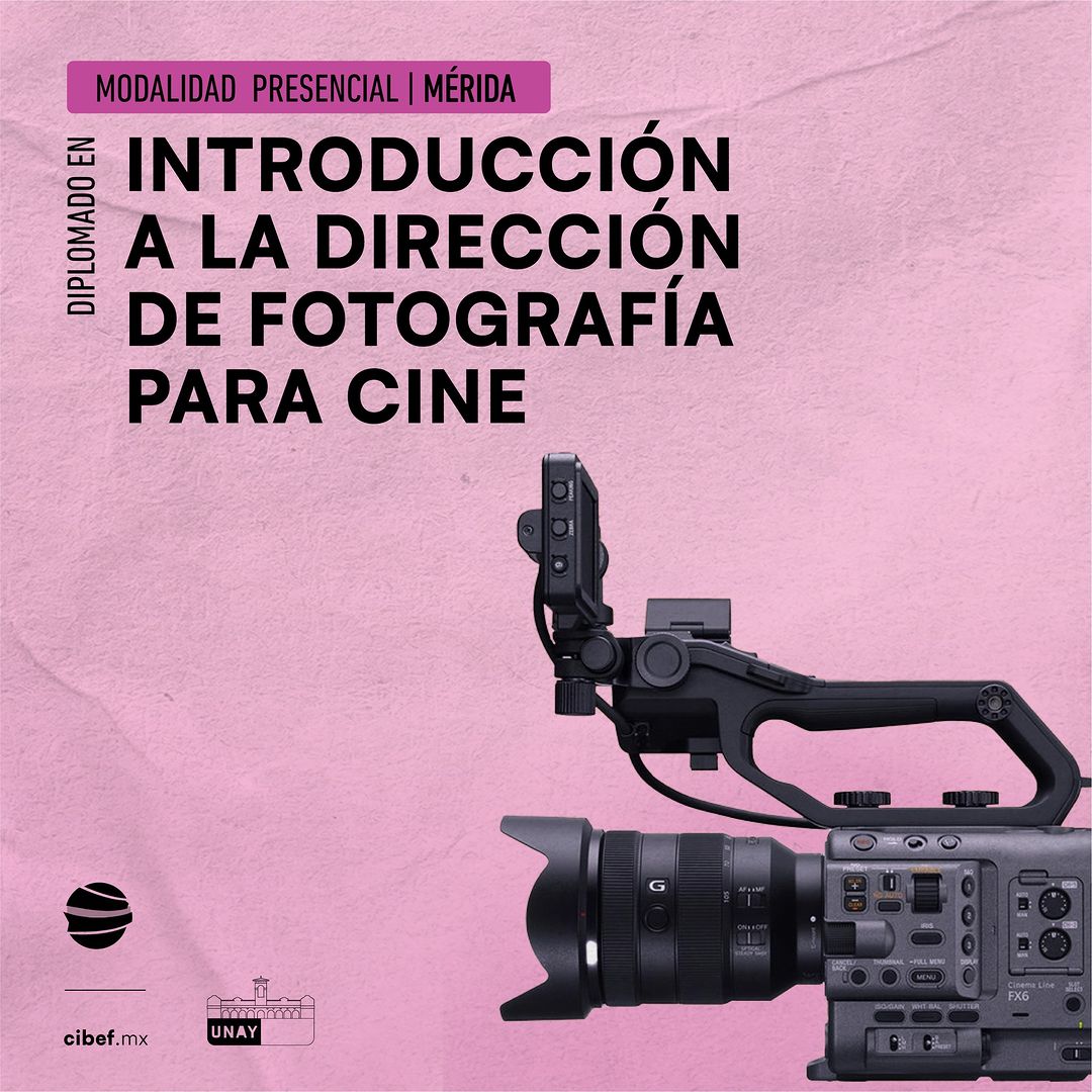cibef_mx's tweet photo. Últimos lugares del diplomado de fotografía para cine en Mérida, Yucatán 📽️💡

6 meses para adquirir lo necesario para fotografiar obras audiovisuales🚀

🎥 Frames: cortometraje “El sueño de Eva”, realizado en Mérida.
🚨 Inicia: Sábado 5 de agosto

+INFO https://t.co/FcbN62VOnW https://t.co/gr9bqDVEdP