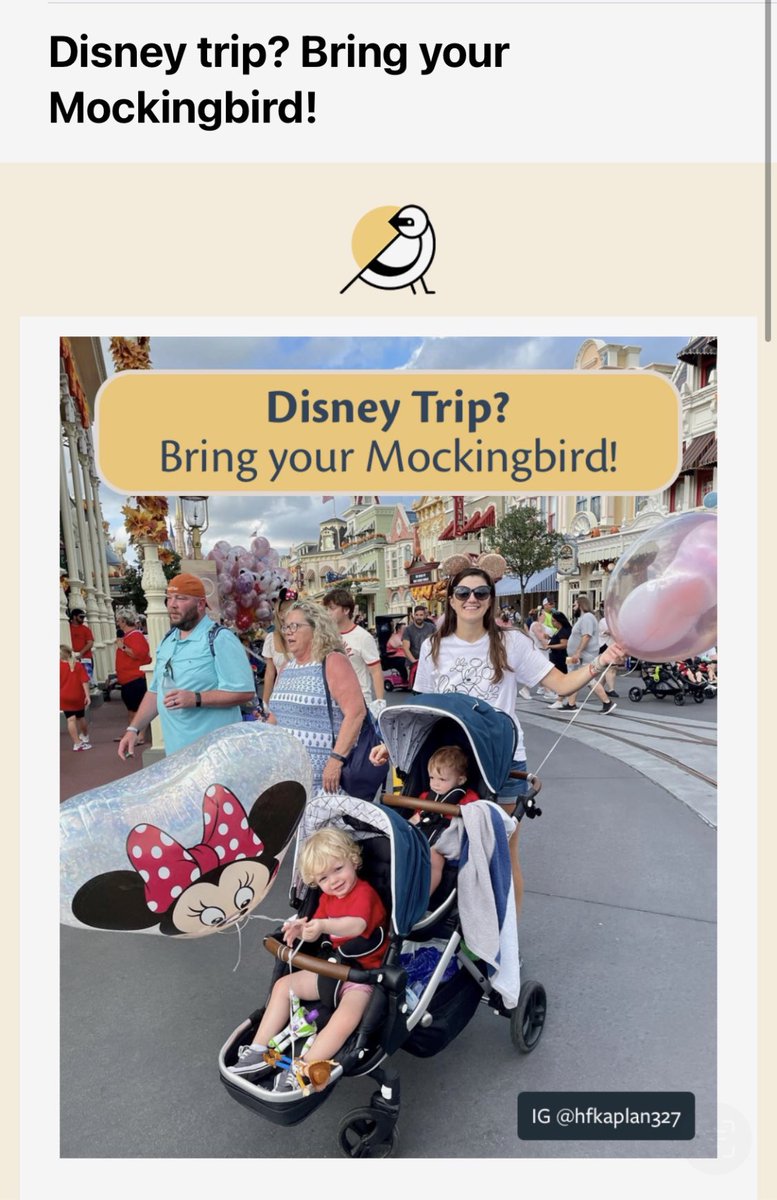 Michael Ryan tweet media