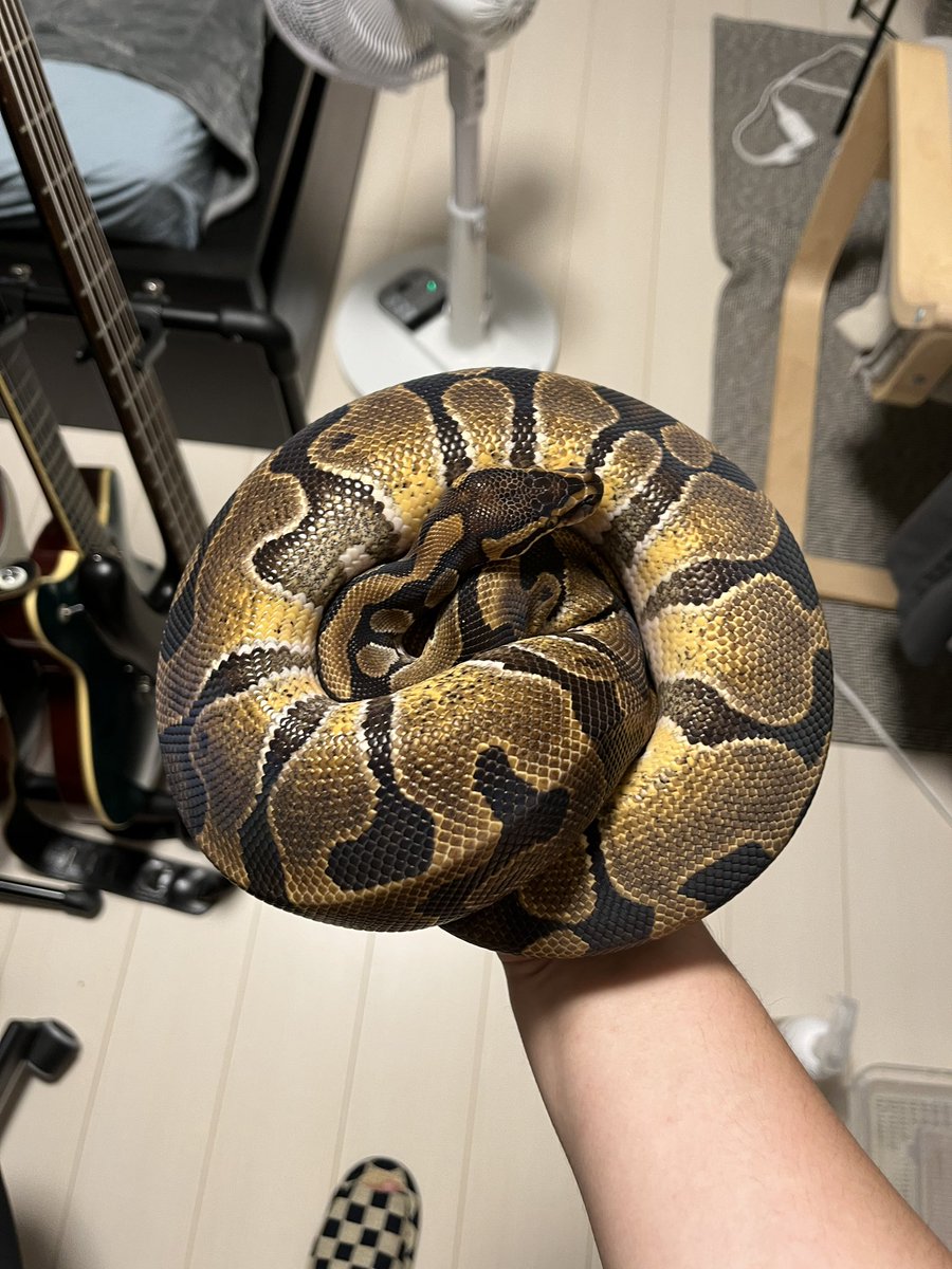 順調に1キロ超えました！！