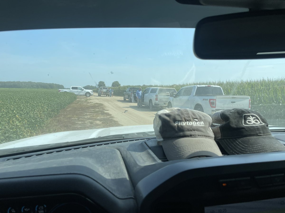 TriCropAgronomy's tweet photo. #WindshieldWednesday in Sunflower County, Mississippi evaluating future #Pioneer corn hybrids. Looking at what’s coming down the pipeline in the Pioneer #IMPACT corn plots. @PioneerSeeds https://t.co/9ukCGChYrK