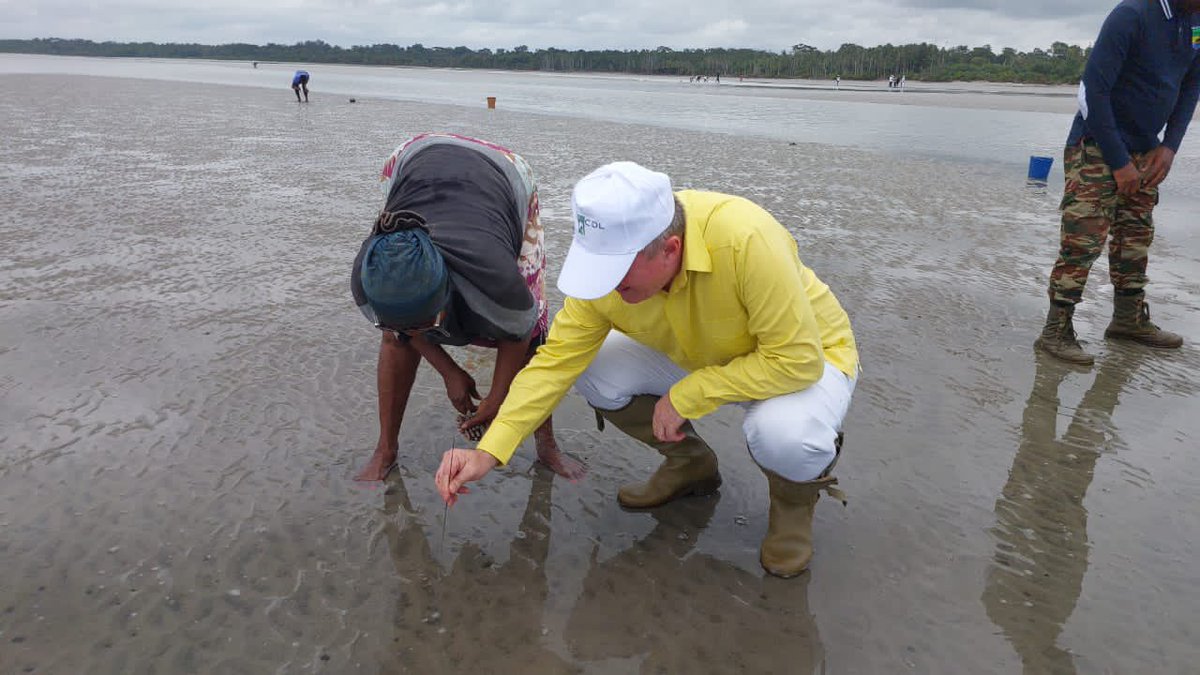 Prof. Lee White CBE tweet media