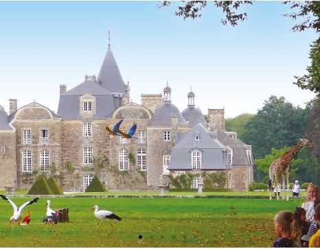 Divertissement Durable tweet media