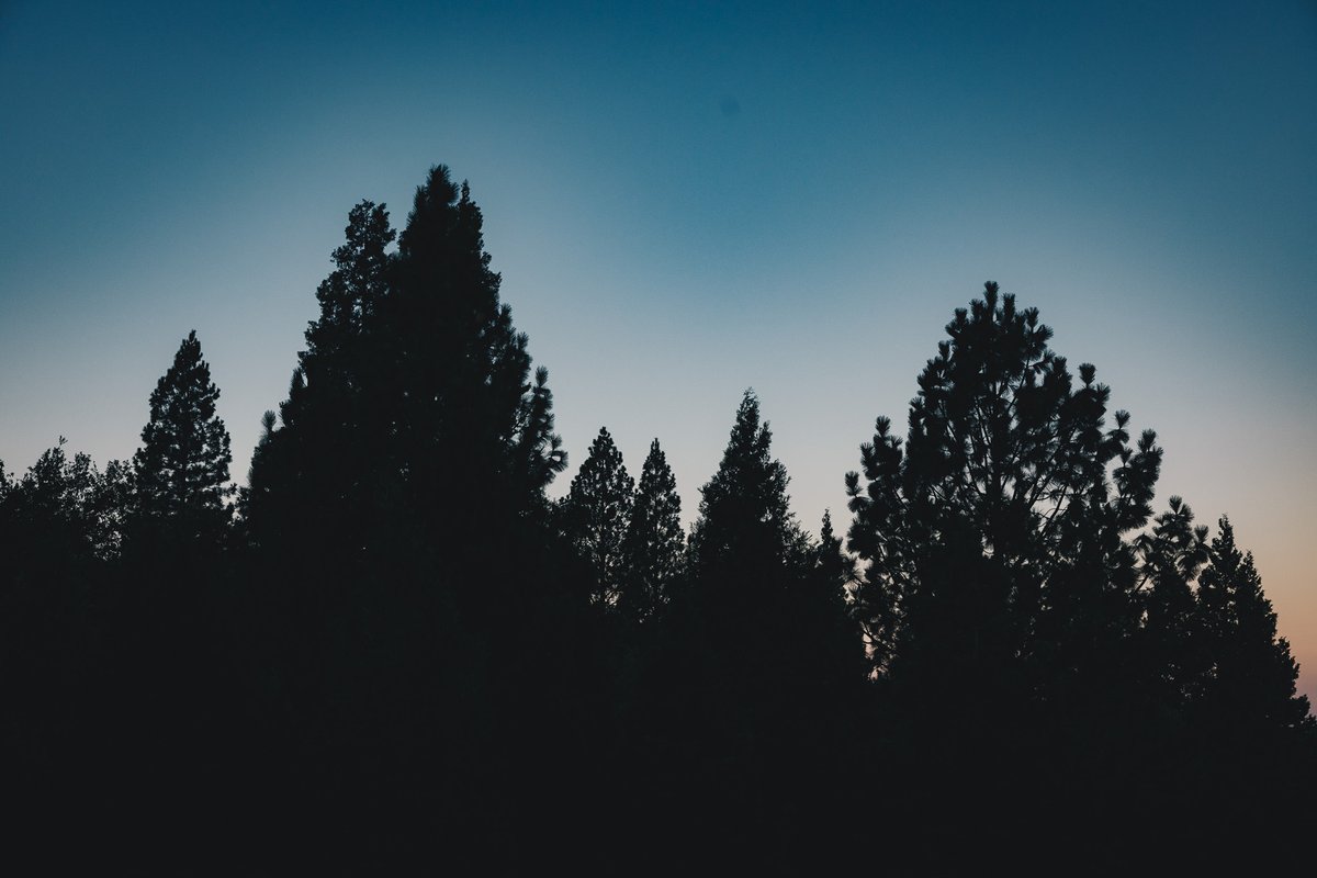 Steven Foster tweet media