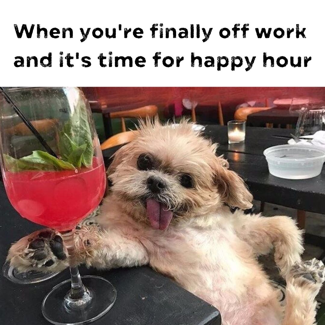 Happy Hour is NEEDED after work 🐶🍺

Come down to #18bin with your furry friend from 4PM - 6PM! It's Happy Hour for you but Yappy Hour for them!

#lasvegas #vegas #lasvegasblvd #vegashappyhour #happyhour #lasvegasfood #dtlv