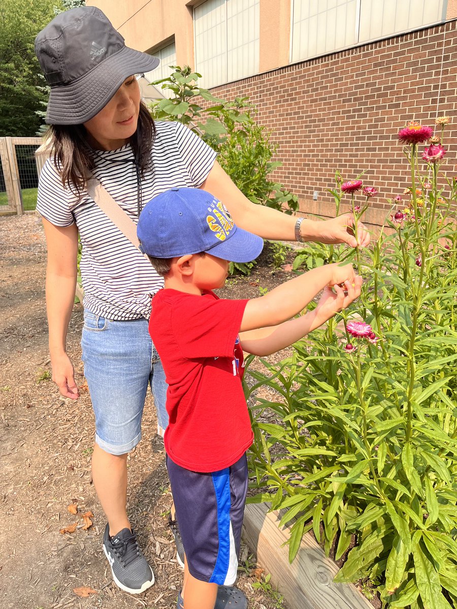Our fabulous <a href="/NoviWoods/">Novi Woods Elem.</a> gardeners came to water, weed and make beautiful bouquets to give to others! We love spreading flower joy around our <a href="/cityofnovi/">City of Novi</a> community. <a href="/NCSD/">Novi Community School District</a> <a href="/MsHattieNW/">Jillian Hattie</a> <a href="/MrsDonberger/">Michelle Donberger</a>