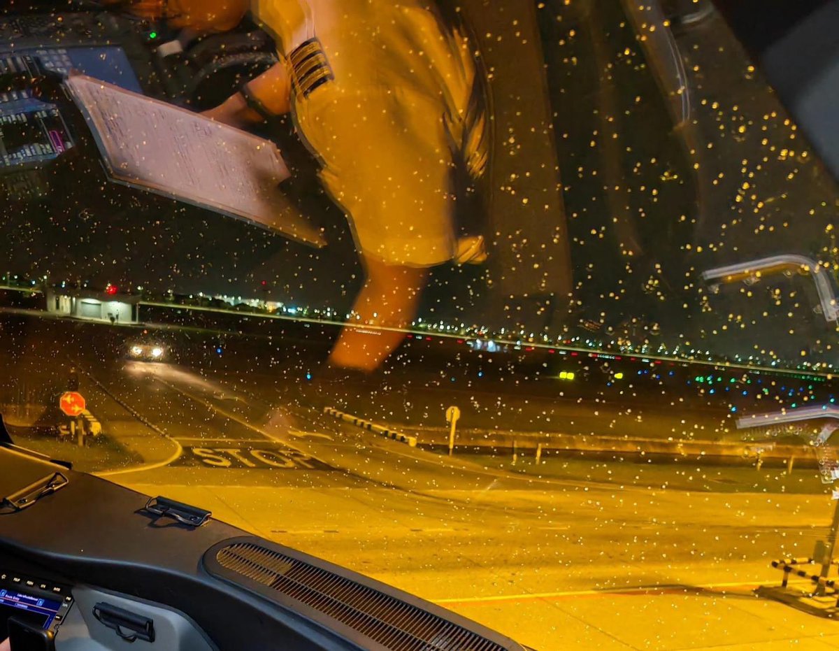 บินบ้าง บางๆ