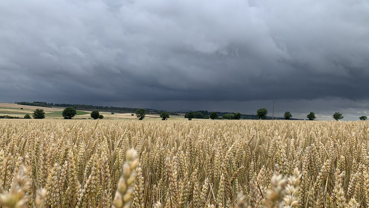 fleurrbie's tweet photo. Oooof that’s a stormy sky tonight… the Sidlaws and Craigowl look washed away!
Unseasonably cool and windy today at home - it feels like #Autumn 😫
#Angus
#isitsummer
@BBCScotWeather @bbcweather @metoffice https://t.co/I9LJDJGL6M