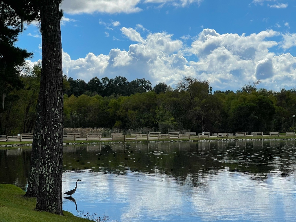 Summer days are best spent on the shores of Lake Cameron. 😊

#thewatersal