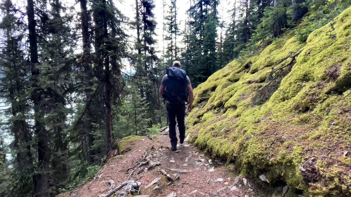 Crazy how within 15 mins you can be alone on a hiking trail around Lake Louise!
#fairviewlookout #explorebanff #lakelouise #plainsofsixglaciers #fairviewmountain #lakeagnes #onlyafairmontaway #lakelouisehiking #lakelouisehike #hikelakelouise