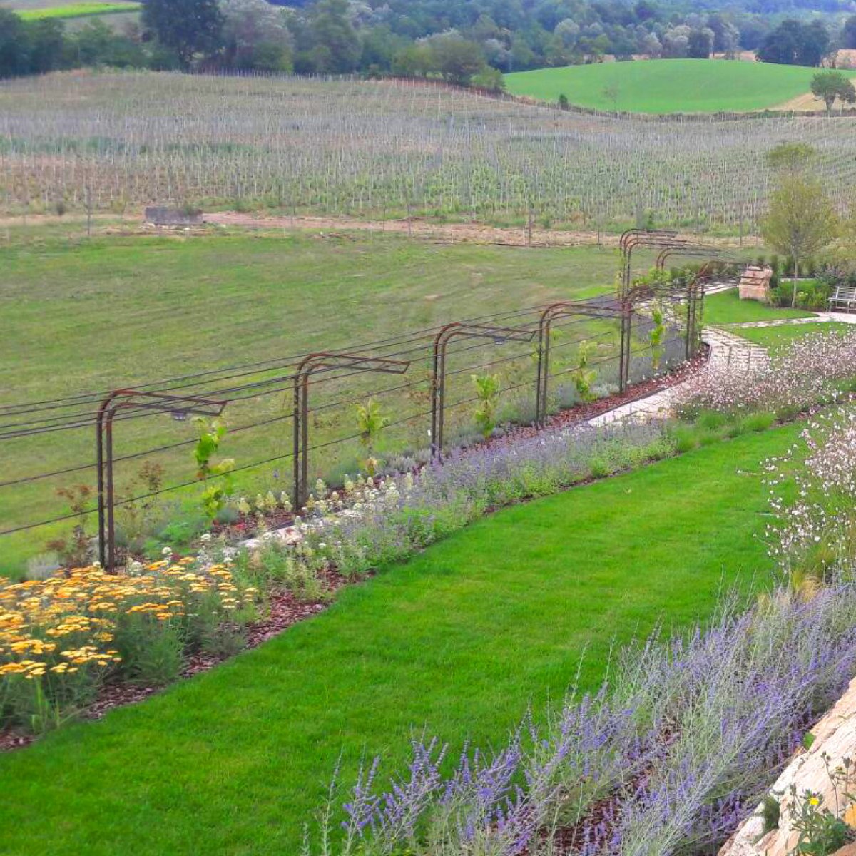 GiardiniMGF's tweet photo. Lavanda, viti e fiori, quale paesaggio migliore? 
https://t.co/iyySEsDoC9
#GiardiniMGF #MGFpiante 
Pagina vivai--> @vivaimgf  #gardendesign #landscapedesign #gardenconstruction #gardenproject #progettazionegiardini #giardinaggio #giardini #giardino #gardening #gardenlovers https://t.co/qrSWGpT8dJ