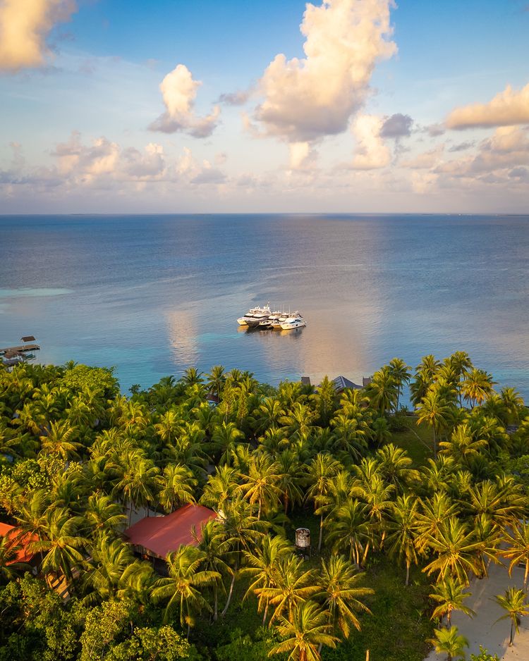 belizehub's tweet photo. 🌴Immerse yourself in the tranquil beauty of South Water Caye, a hidden treasure among Belize's enchanting islands🌊
📸: @pelicanbeach_southwatercaye
.
.
.
.
.
#BelizeHub #TravelBelize #VisitBelize #BelizeIt #BelizeVacation #belizeitornot #southwatercaye https://t.co/RyO9inbWtf