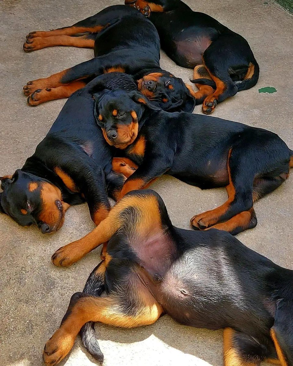 If you love this photo say Yes and retweet also 🥰