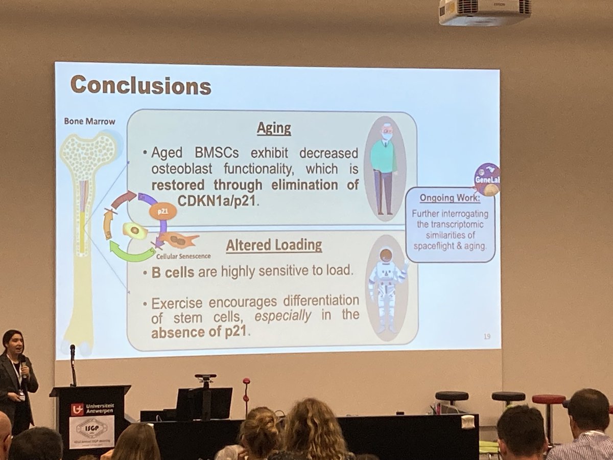 Reflecting on this summer so far &amp; the amazing opportunities to present <a href="/ISSCR/">ISSCR</a> in Boston, MA and #ISGP2023 in Antwerp, Belgium, where I was awarded 2nd place in the Young Investigator Award Session! 🚀🧬