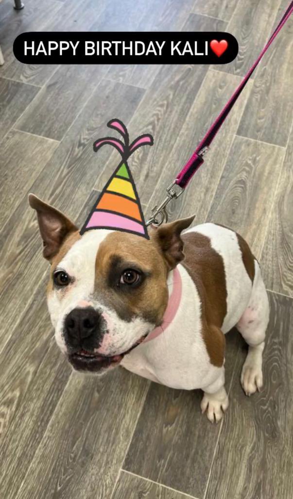 linda 👋🏼🐸 tweet media