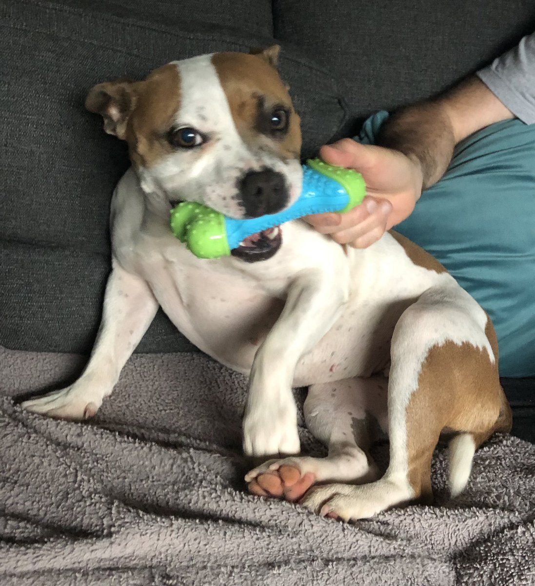 linda 👋🏼🐸 tweet media